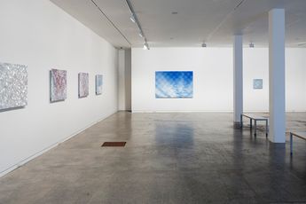 Contemporary art exhibition Elizabeth Thomson Transitive States at Two Rooms Auckland New Zealand
