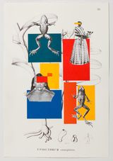 Geometria a Brasileira Chega ao Paraiso Tropical by Rosana Paulino contemporary artwork works on paper photography print