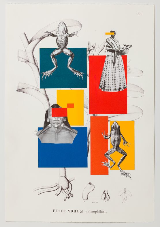 Geometria a Brasileira Chega ao Paraiso Tropical by Rosana Paulino contemporary artwork Works on Paper