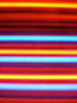 Psychedelic Bamboo 03 by Feng Yan contemporary artwork photography