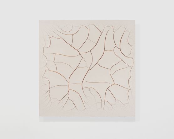 Monocromo Cru 2 by Adriana Varejao contemporary artwork Painting
