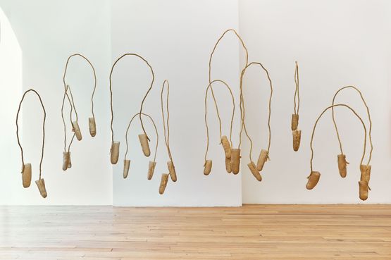 Natural Idiot Strings by Sonya Kelliher-Combs contemporary artwork Sculpture