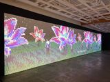 Life as a Rumor by Lov-Lov contemporary artwork installation moving image