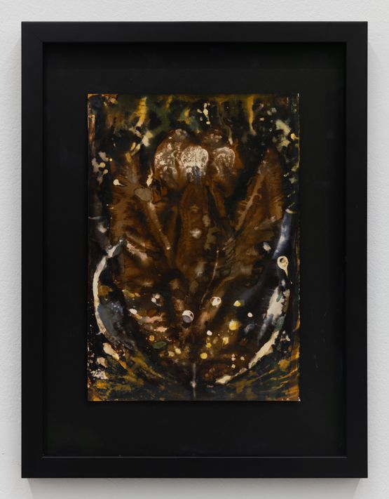 Flower Body by Seraphine Pick contemporary artwork Works on Paper