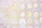 Emily Rae Smith Labuschagne contemporary artist