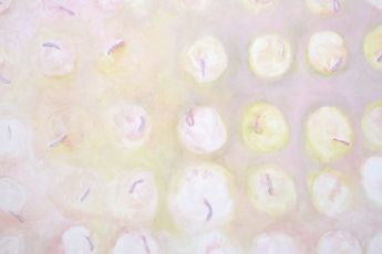 Emily Rae Smith Labuschagne contemporary artist