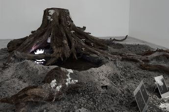 Contemporary art exhibition Elsa Wagnieres La ou rien ne devait pousser at Fabienne Levy Lausanne Switzerland