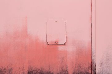 Martin Boyce contemporary artist
