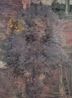 Bigger Half Raised General Assembly Pelt by Hanneline Rgeberg contemporary artwork Painting