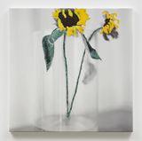 Whiters White by Ziad Antar contemporary artwork painting photography