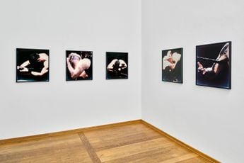 Contemporary art exhibition Pola Sieverding Pola Sieverding at Knust Kunz Gallery Editions Munich Germany