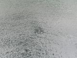 Untitled 549000FC Two swimmers by Richard Misrach contemporary artwork photography