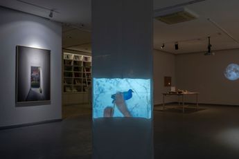 Contemporary art exhibition Larry Munoz Graceful Elegant Beasts at Zilberman Istanbul Turkiye