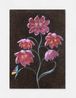 Future Herbarium by Laurent Grasso contemporary artwork Painting