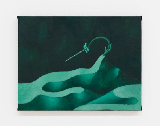 Peak by Mevlana Lipp contemporary artwork Painting