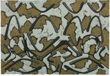 Pretending to Paint in Pompeii 7 by Tang Maohong contemporary artwork works on paper