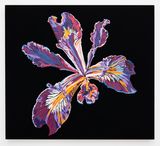 Vortex Flower iris by Francesca Gabbiani contemporary artwork painting works on paper