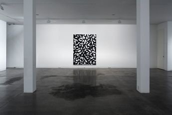 Contemporary art exhibition Jeena Shin Motus at Two Rooms Auckland New Zealand