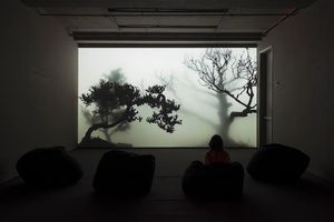 Group Exhibition