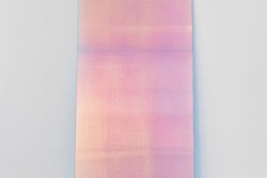 Ann Veronica Janssens