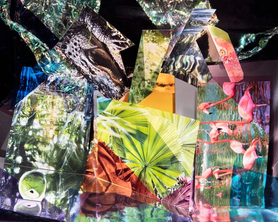 Mangroves by Anastasia Samoylova contemporary artwork Print
