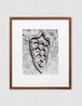 Untitled Sandwoman Series by Ana Mendieta contemporary artwork Photography