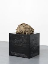 Solide Plastique 16 by Didier Vermeiren contemporary artwork sculpture