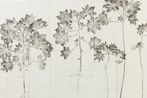 Simryn Gill contemporary artist