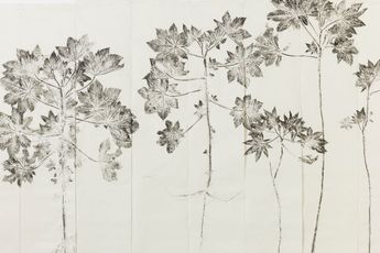 Simryn Gill contemporary artist