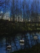 Stream by An Gyungsu contemporary artwork painting