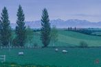 Hill margin by Kazuyuki Futagawa contemporary artwork Works on Paper
