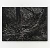 lereng Gede biosphere The Biosphere of Mount Gede by Maryanto contemporary artwork Painting