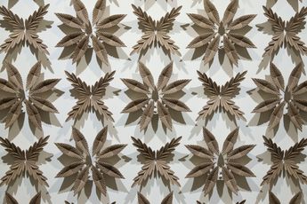 Albert Yonathan Setyawan contemporary artist