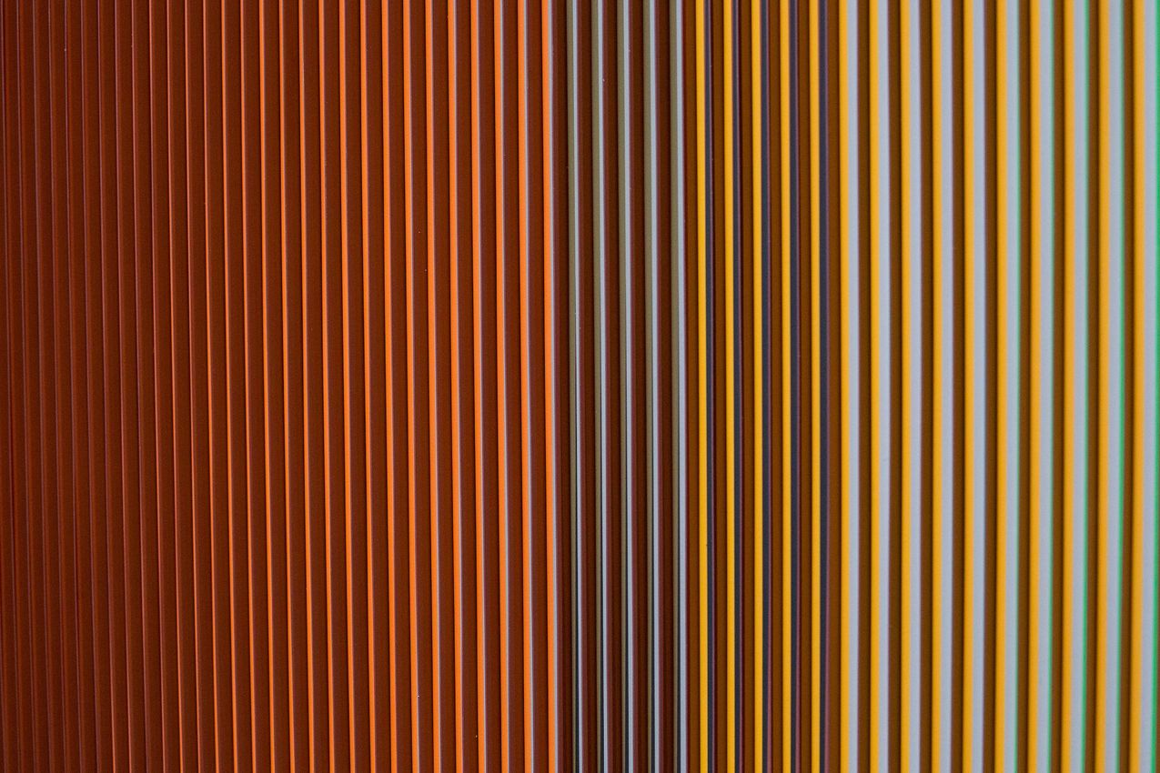 CARLOS CRUZ-DIEZ