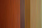 Carlos Cruz-Diez contemporary artist