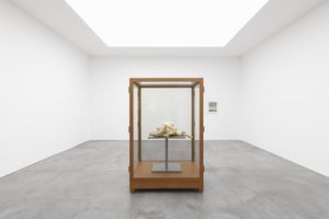 Group Exhibition