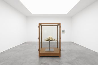 Contemporary art exhibition Group Exhibition Winterreise at Xavier Hufkens St-Georges Belgium