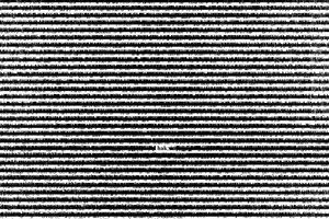 Ozlem Gunyol Mustafa Kunt