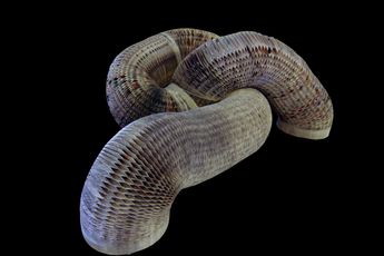 Li Hongbo contemporary artist
