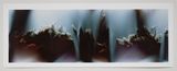 Bruissement 5 by Anne Noble contemporary artwork photography