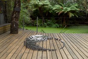Sarah Sze