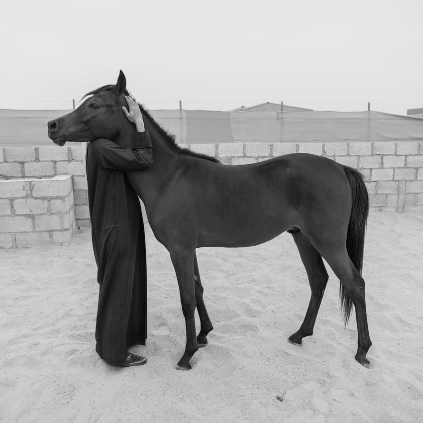 Farah Al Qasimi