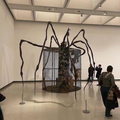 Louise Bourgeois Fabric Works Trace Memory and Trauma