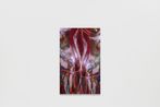 Isobel Shore contemporary artist