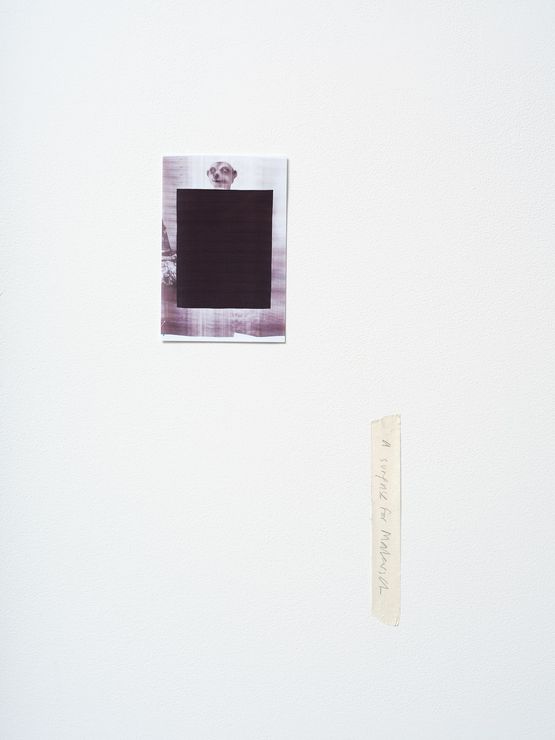 A surprise for Malevich by David Thomas contemporary artwork Print