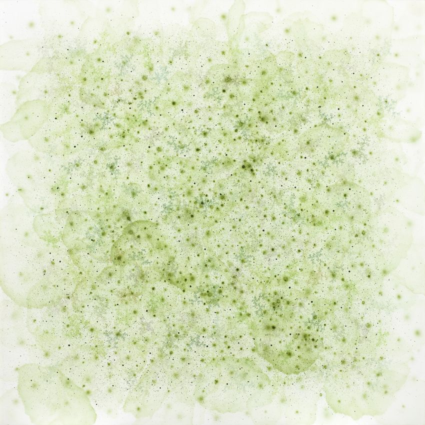 KANGWOOK LEE