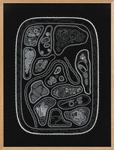 Zoofolium 05 by Golan Levin contemporary artwork drawing nft works on paper