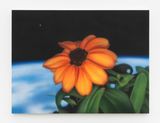 Zinnia by Aryo Toh Djojo contemporary artwork painting