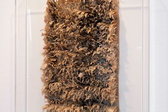 Oskar Holweck contemporary artist