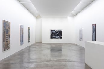 Contemporary art exhibition Justin Fitzpatrick A Musical Instrument at Kerlin Gallery Dublin Ireland